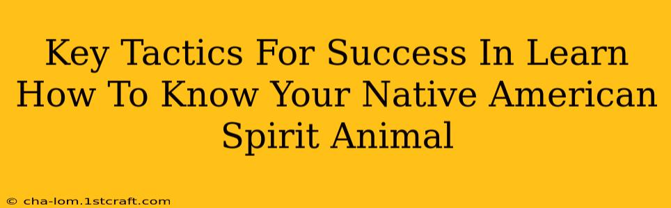 Key Tactics For Success In Learn How To Know Your Native American Spirit Animal