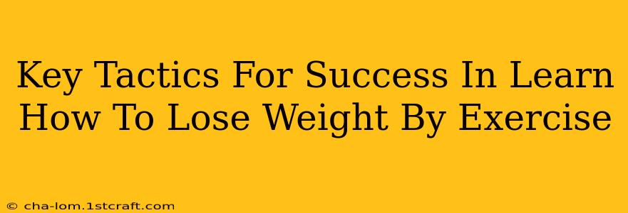 Key Tactics For Success In Learn How To Lose Weight By Exercise