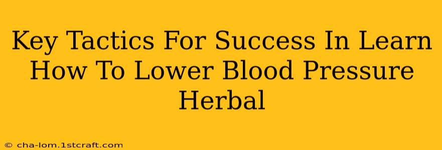 Key Tactics For Success In Learn How To Lower Blood Pressure Herbal