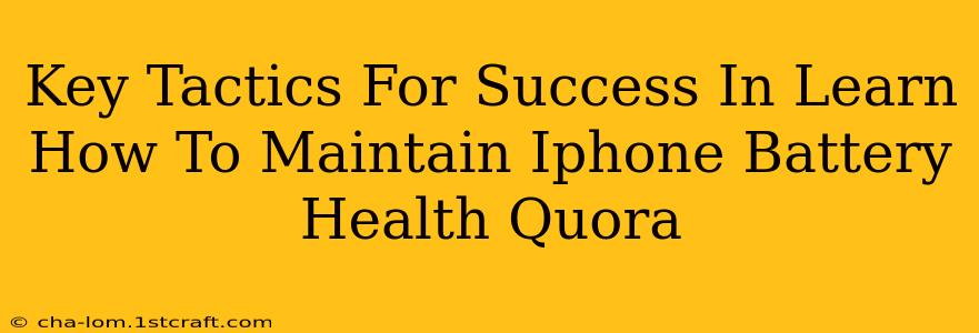 Key Tactics For Success In Learn How To Maintain Iphone Battery Health Quora