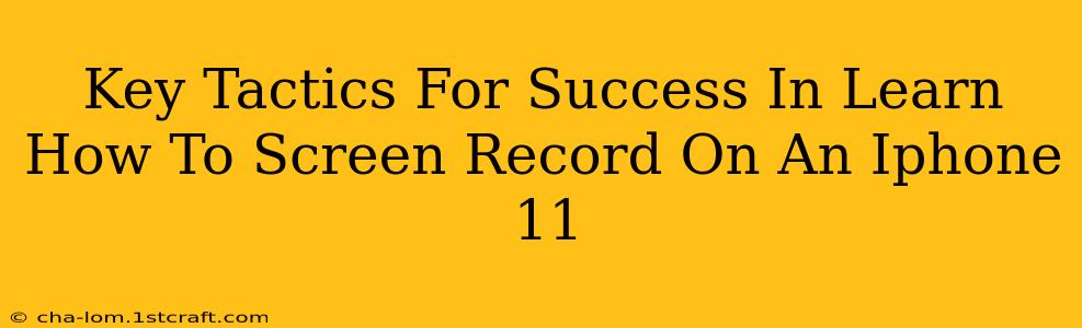 Key Tactics For Success In Learn How To Screen Record On An Iphone 11