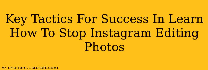 Key Tactics For Success In Learn How To Stop Instagram Editing Photos