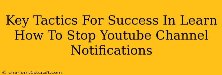 Key Tactics For Success In Learn How To Stop Youtube Channel Notifications