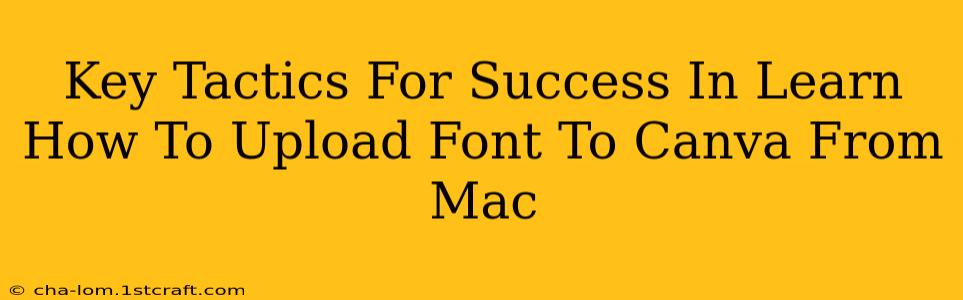 Key Tactics For Success In Learn How To Upload Font To Canva From Mac