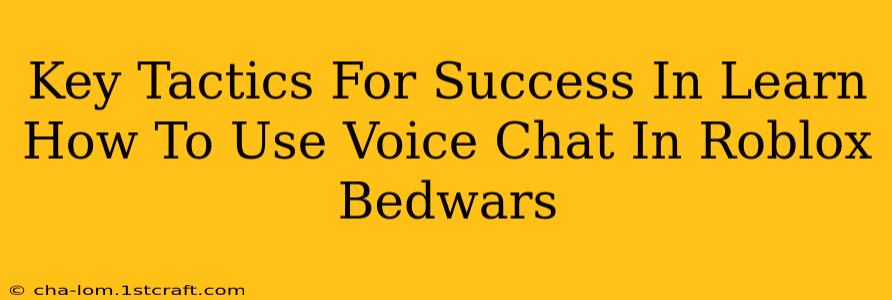 Key Tactics For Success In Learn How To Use Voice Chat In Roblox Bedwars