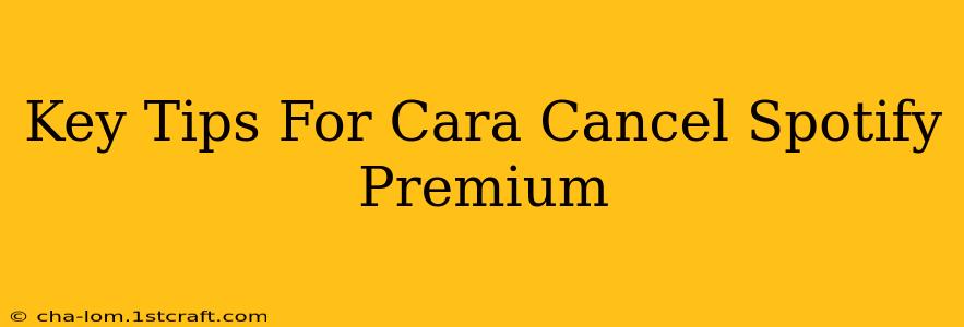 Key Tips For Cara Cancel Spotify Premium