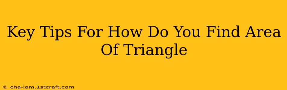 Key Tips For How Do You Find Area Of Triangle