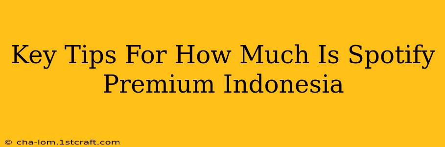 Key Tips For How Much Is Spotify Premium Indonesia