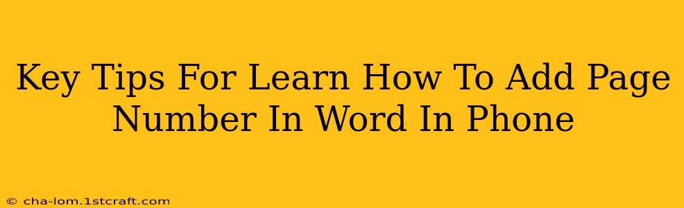 Key Tips For Learn How To Add Page Number In Word In Phone