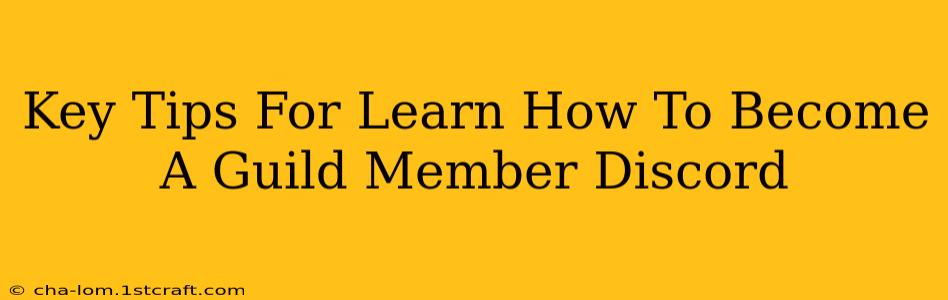 Key Tips For Learn How To Become A Guild Member Discord