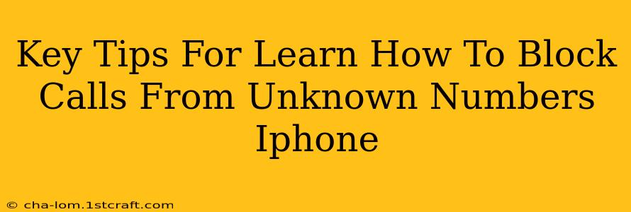 Key Tips For Learn How To Block Calls From Unknown Numbers Iphone