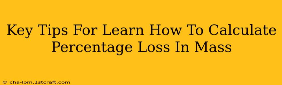 Key Tips For Learn How To Calculate Percentage Loss In Mass