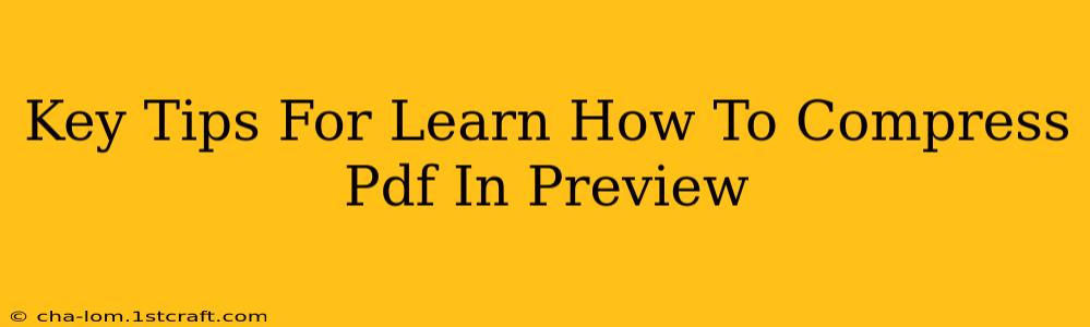 Key Tips For Learn How To Compress Pdf In Preview