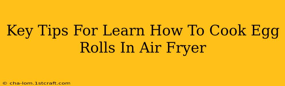 Key Tips For Learn How To Cook Egg Rolls In Air Fryer