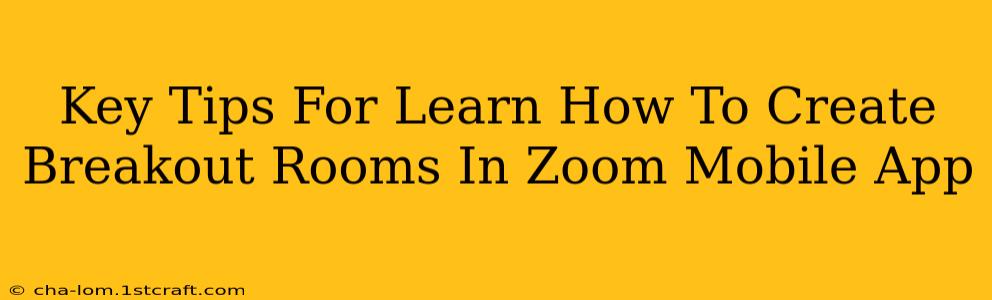 Key Tips For Learn How To Create Breakout Rooms In Zoom Mobile App