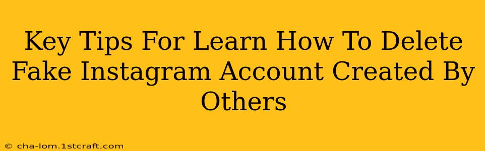 Key Tips For Learn How To Delete Fake Instagram Account Created By Others