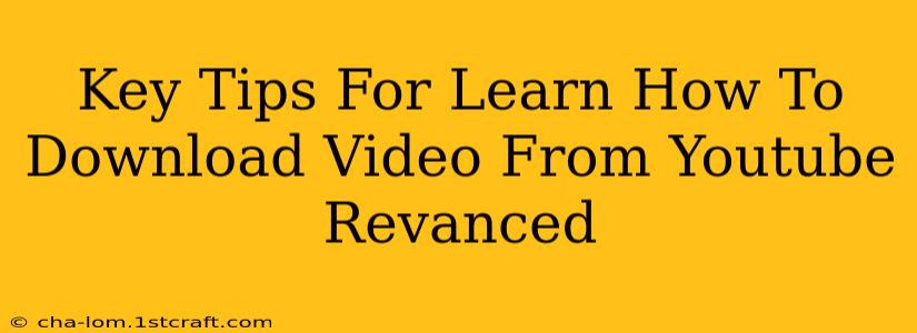 Key Tips For Learn How To Download Video From Youtube Revanced