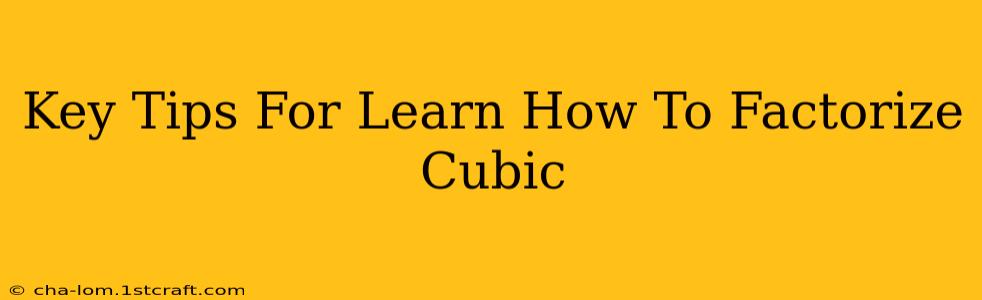 Key Tips For Learn How To Factorize Cubic