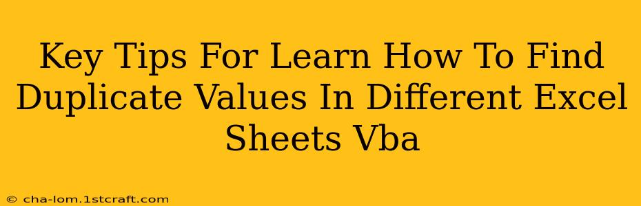 Key Tips For Learn How To Find Duplicate Values In Different Excel Sheets Vba