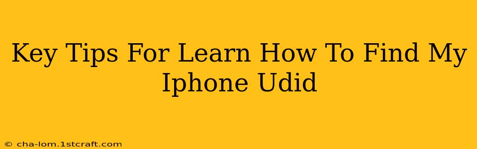 Key Tips For Learn How To Find My Iphone Udid