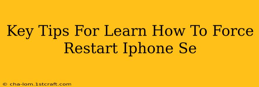 Key Tips For Learn How To Force Restart Iphone Se