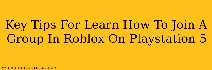 Key Tips For Learn How To Join A Group In Roblox On Playstation 5