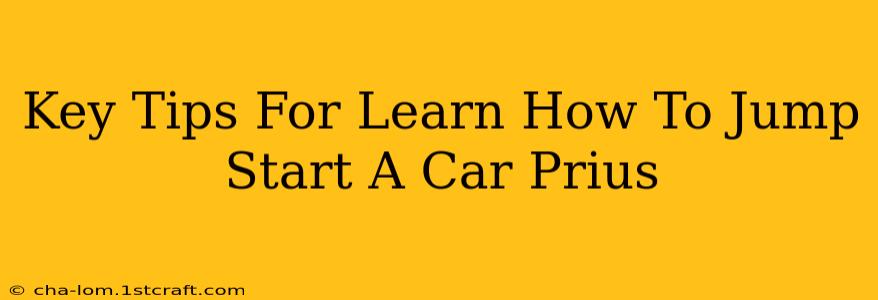 Key Tips For Learn How To Jump Start A Car Prius