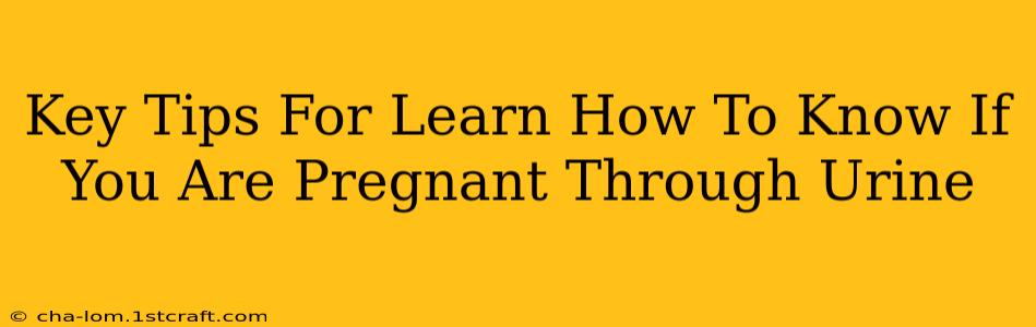 Key Tips For Learn How To Know If You Are Pregnant Through Urine