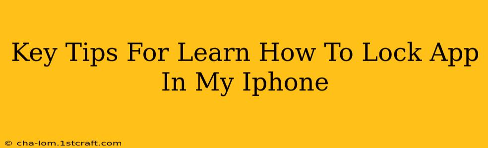 Key Tips For Learn How To Lock App In My Iphone