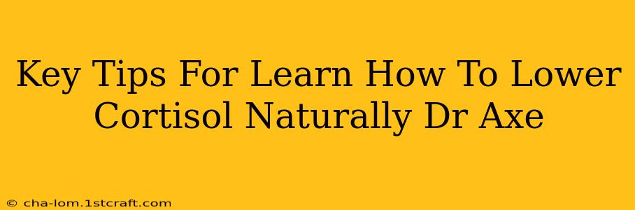 Key Tips For Learn How To Lower Cortisol Naturally Dr Axe