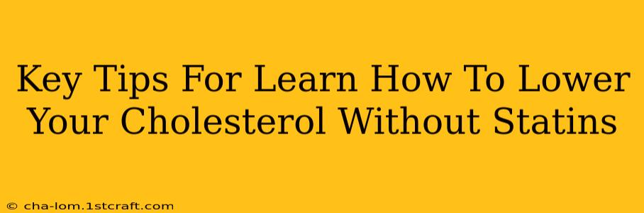 Key Tips For Learn How To Lower Your Cholesterol Without Statins