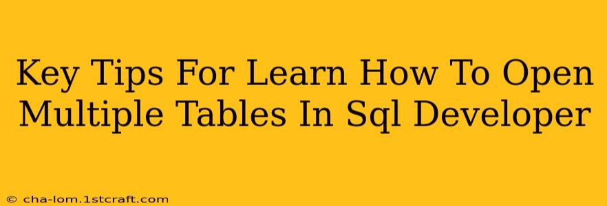 Key Tips For Learn How To Open Multiple Tables In Sql Developer