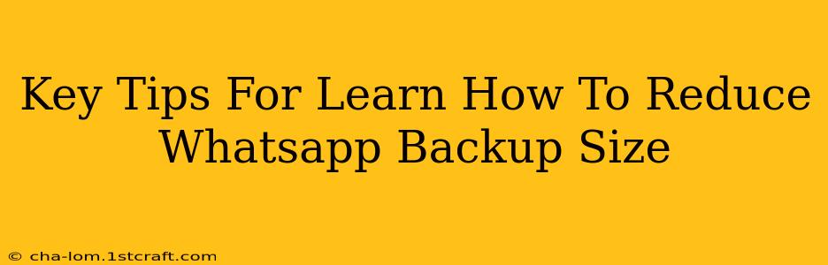 Key Tips For Learn How To Reduce Whatsapp Backup Size