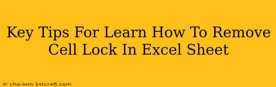 Key Tips For Learn How To Remove Cell Lock In Excel Sheet