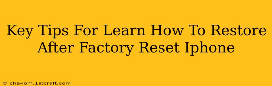 Key Tips For Learn How To Restore After Factory Reset Iphone