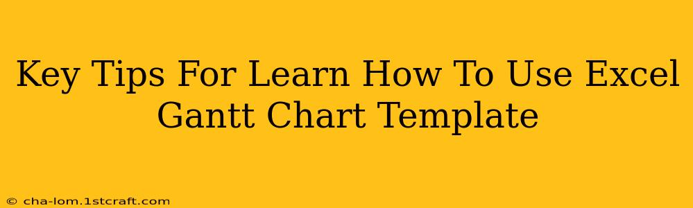 Key Tips For Learn How To Use Excel Gantt Chart Template