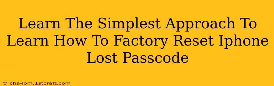 Learn The Simplest Approach To Learn How To Factory Reset Iphone Lost Passcode