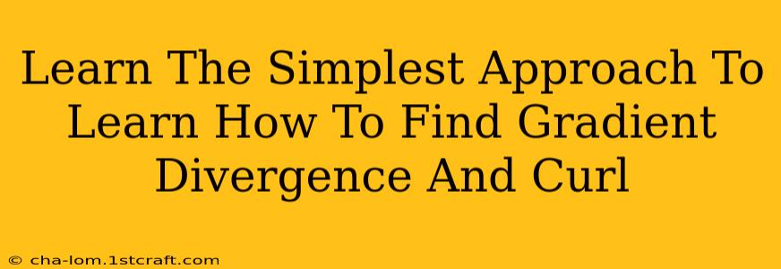 Learn The Simplest Approach To Learn How To Find Gradient Divergence And Curl