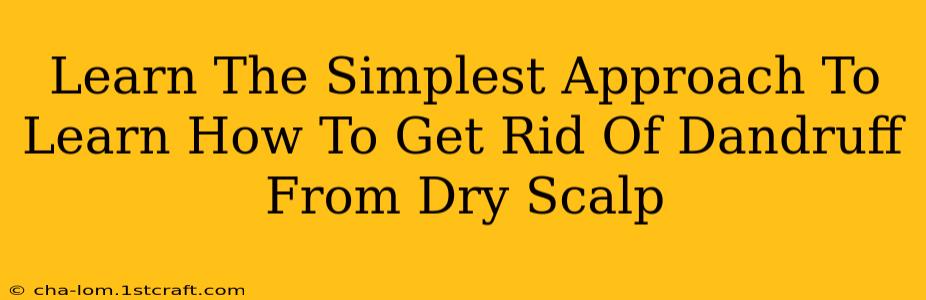 Learn The Simplest Approach To Learn How To Get Rid Of Dandruff From Dry Scalp