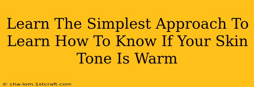 Learn The Simplest Approach To Learn How To Know If Your Skin Tone Is Warm