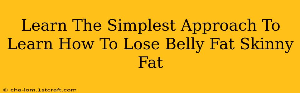 Learn The Simplest Approach To Learn How To Lose Belly Fat Skinny Fat