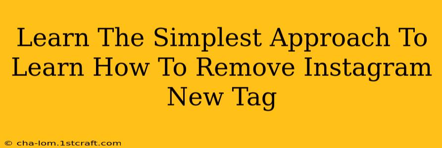 Learn The Simplest Approach To Learn How To Remove Instagram New Tag