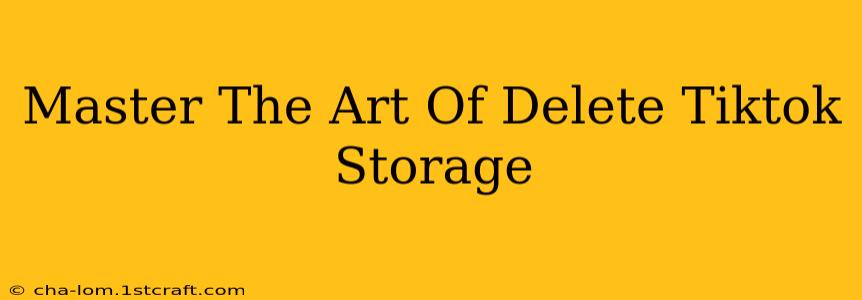 Master The Art Of Delete Tiktok Storage