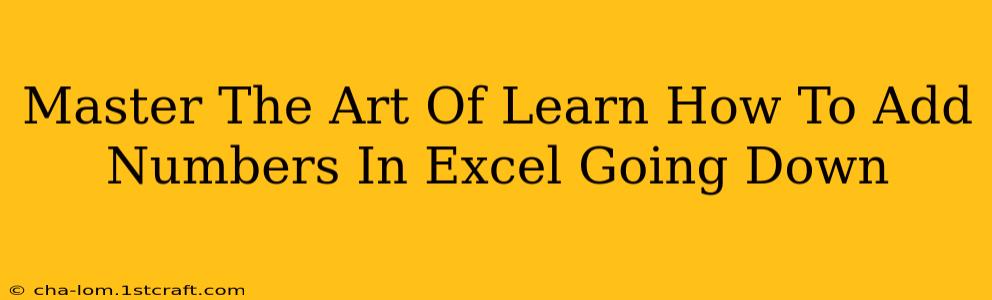 Master The Art Of Learn How To Add Numbers In Excel Going Down