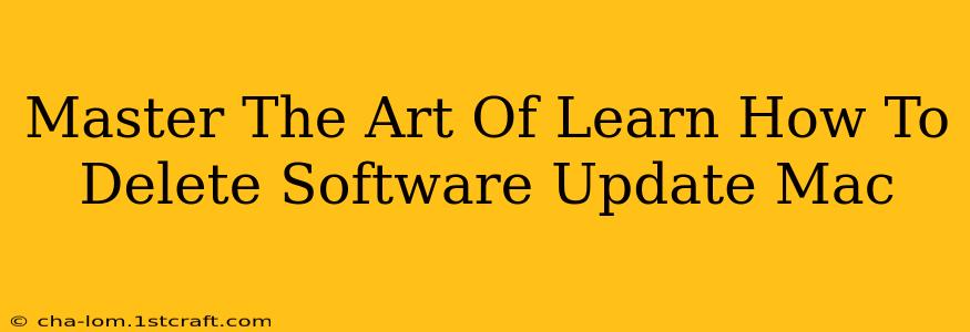 Master The Art Of Learn How To Delete Software Update Mac