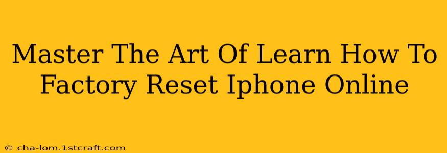 Master The Art Of Learn How To Factory Reset Iphone Online