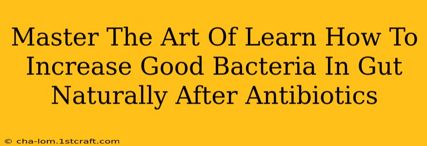 Master The Art Of Learn How To Increase Good Bacteria In Gut Naturally After Antibiotics