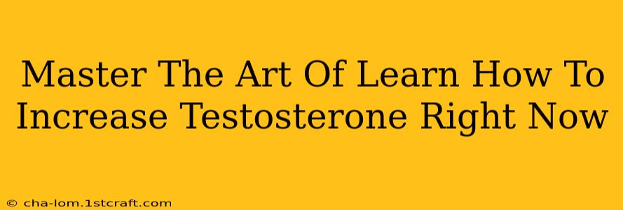 Master The Art Of Learn How To Increase Testosterone Right Now