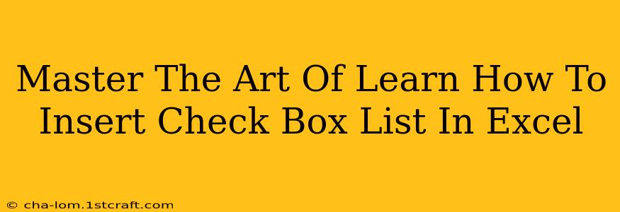 Master The Art Of Learn How To Insert Check Box List In Excel