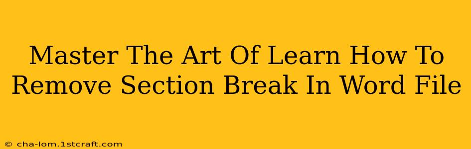 Master The Art Of Learn How To Remove Section Break In Word File